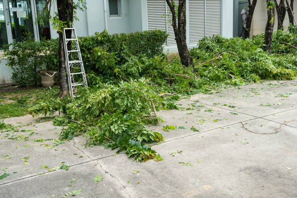 Best Storm Damage Tree Cleanup  in Latimer, MS