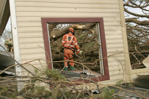 Professional Tree Services in Latimer, MS